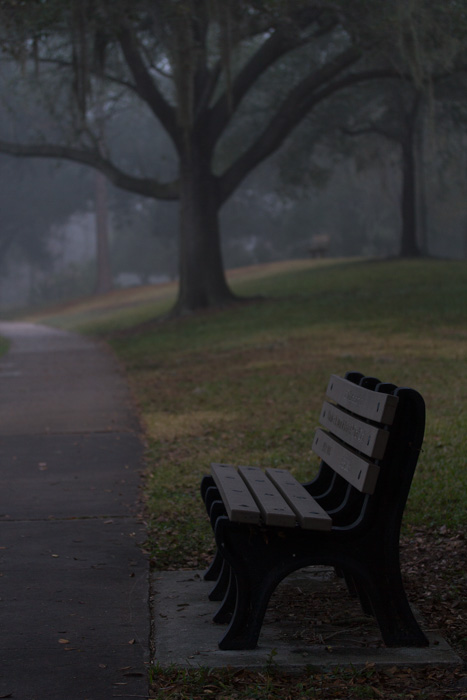 dark bench