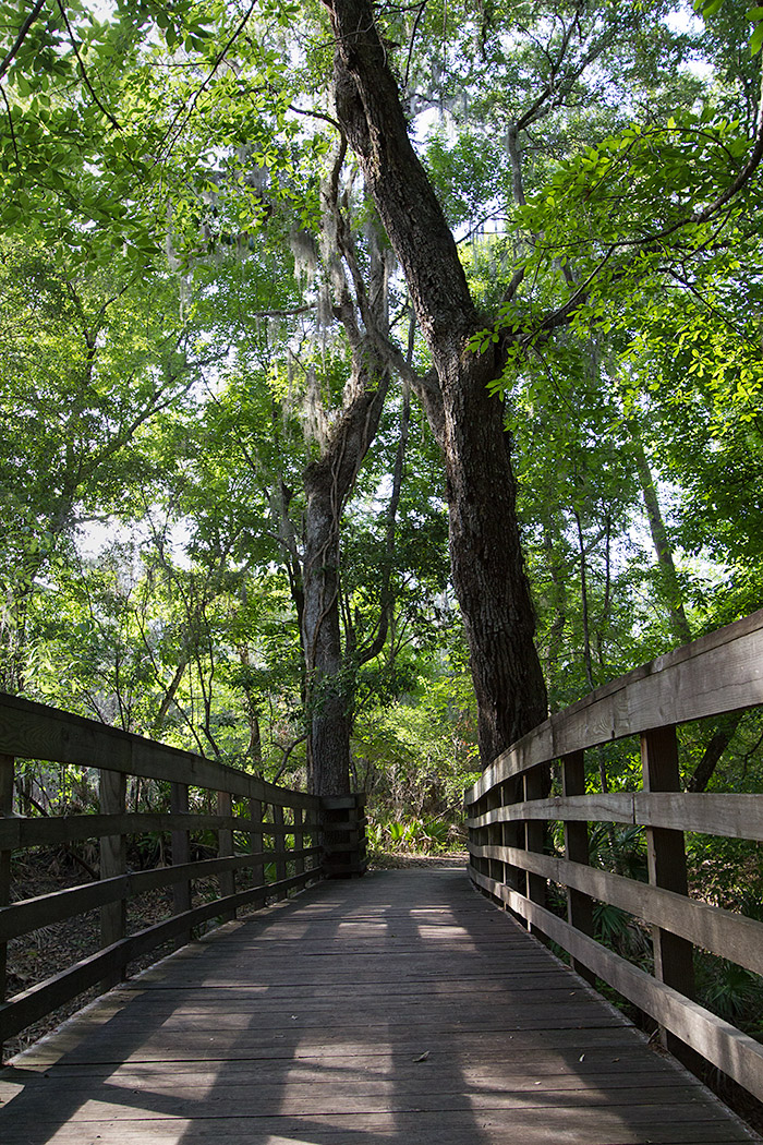 boardwalk