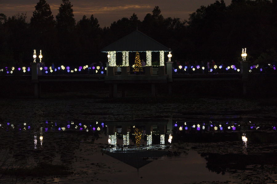 christmas lights reflecting on bridge