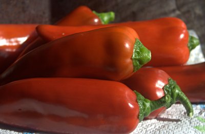 Atris pepper harvest