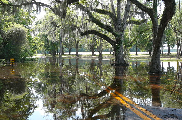 boatramp this way