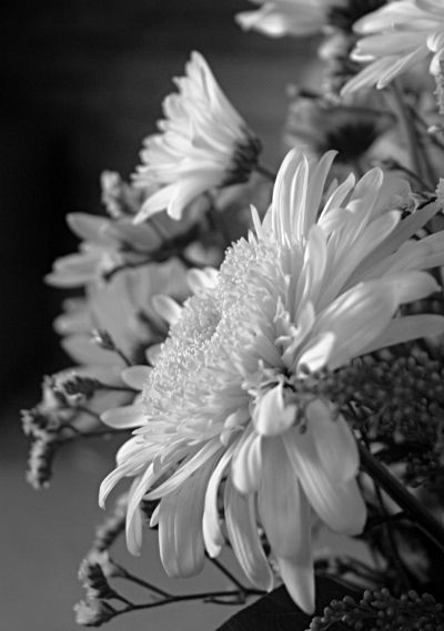 bouquet