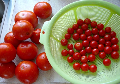 harvest
