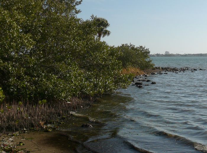intercoastal waterway