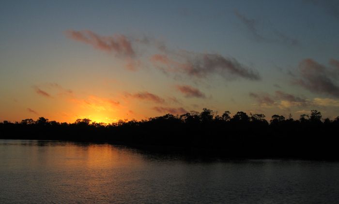 mangrove sunrise