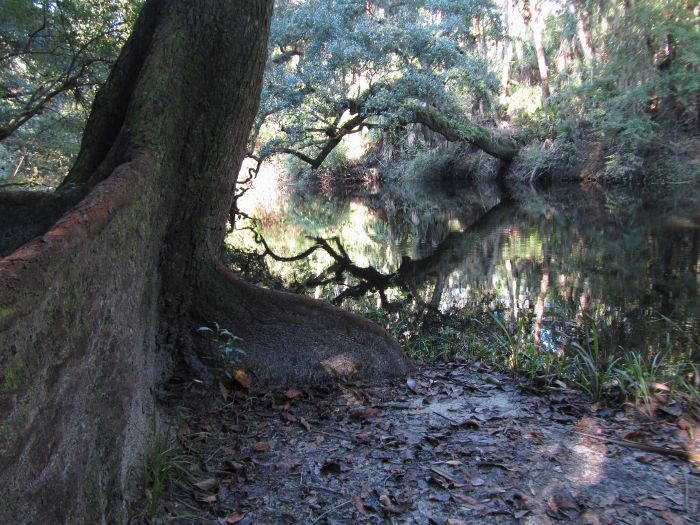 holding back the river bank