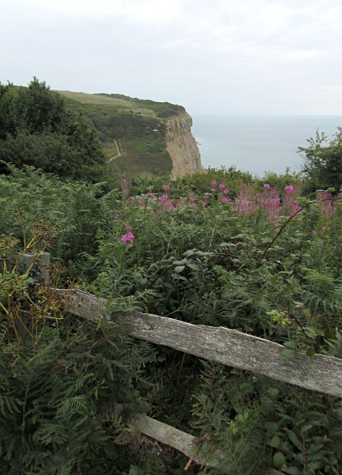 coastal path