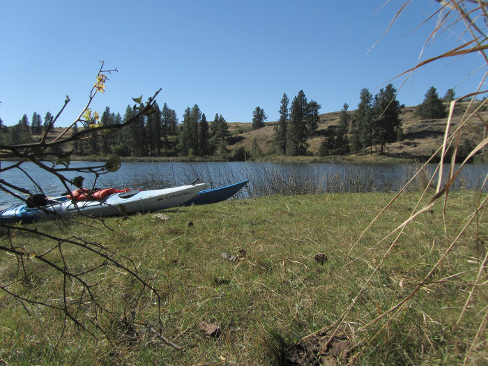 kayaks