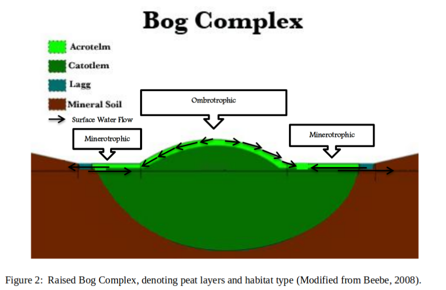 BoxComplex_Fig2_Susan_Priest_2012